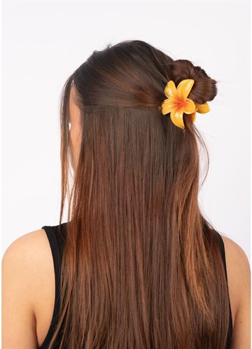 SUI AVA - PLUMERIA BELLA BIG YELLOW 